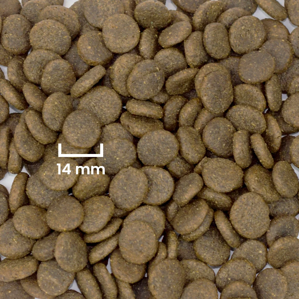 Chrupki dla wszystkich ras