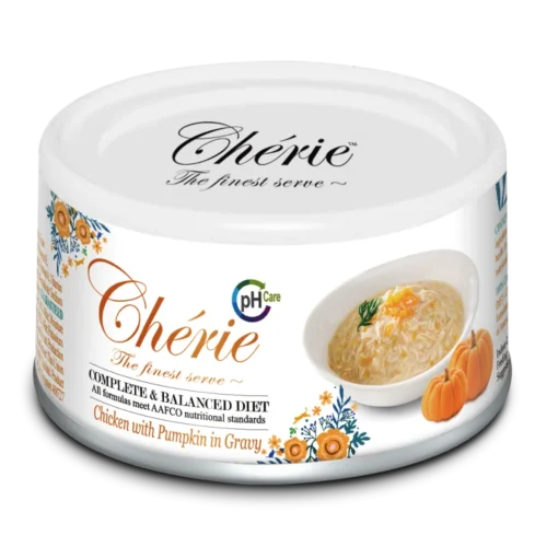 PETTRIC Kot Kurczak z Dynią w sosie 80g