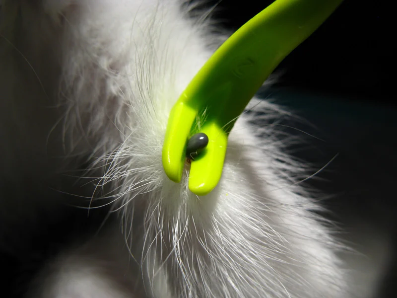 Tick Twister Kleszczołapki do usuwania kleszczy