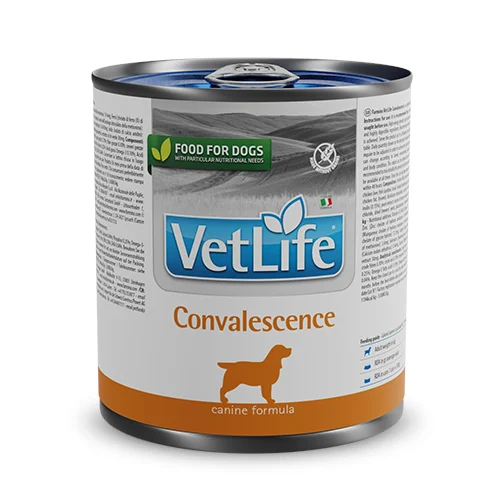 Farmina Vet Life Natural Diet Dog Convalescence 300g Karma Mokra